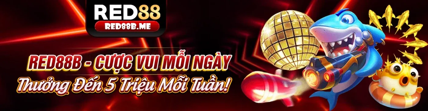 Sân vận động lớn với màn hình hiển thị tỷ lệ cược 78boss